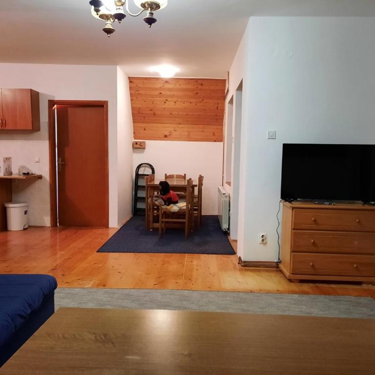 Mountain Flower - Apartment - 9