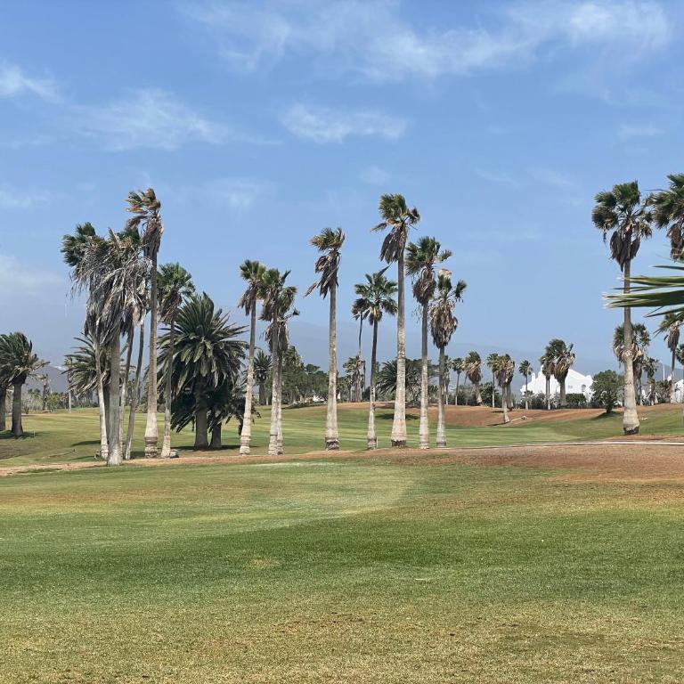Golf & Sunset Albatros Park - Apartamento de 1 dormitorio - 25