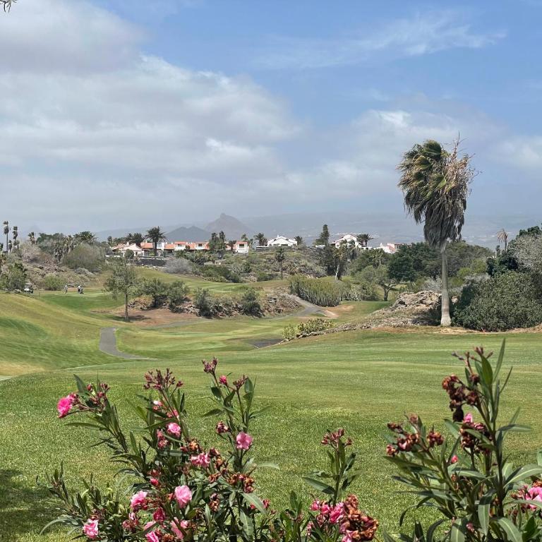 Golf & Sunset Albatros Park - Apartamento de 1 dormitorio - 24
