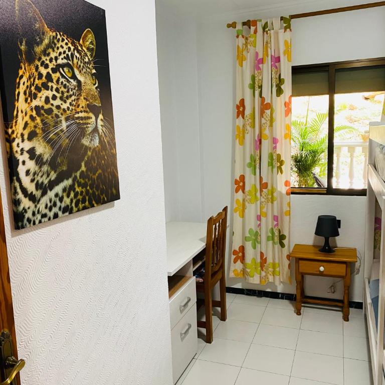 Apartmán - MARIS - Apartamento de 2 dormitorios - 20