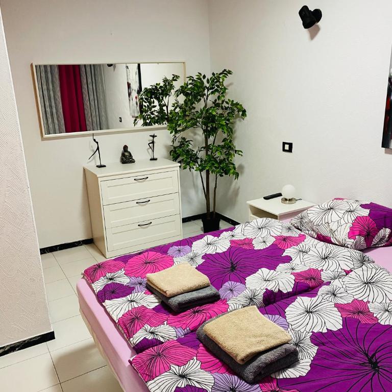 Apartmán - MARIS - Apartamento de 2 dormitorios - 17