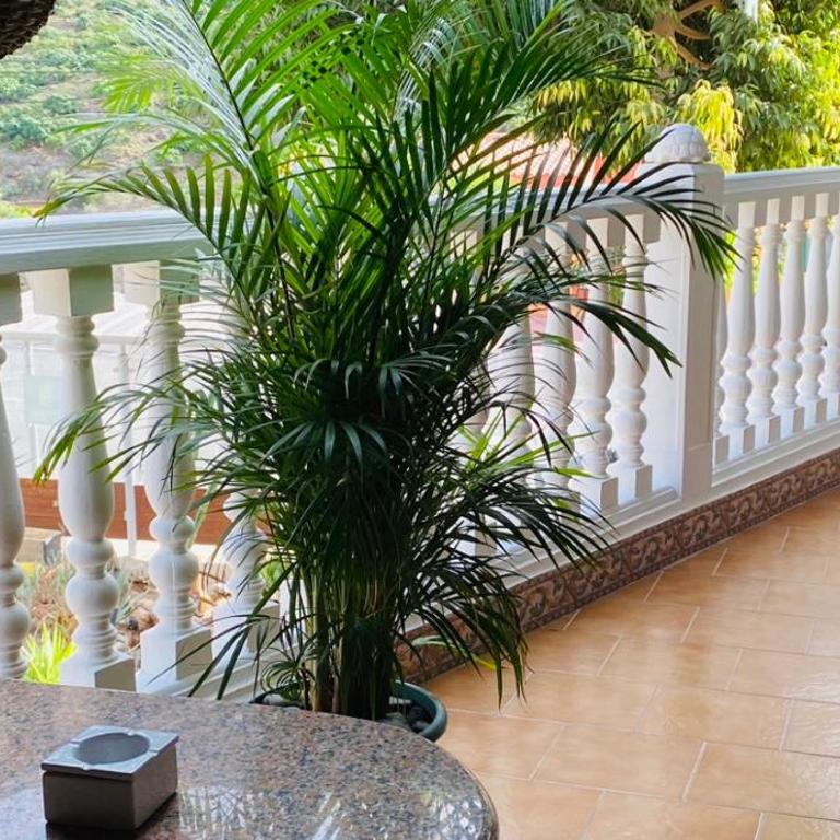 Apartmán - MARIS - Apartamento de 2 dormitorios - 7