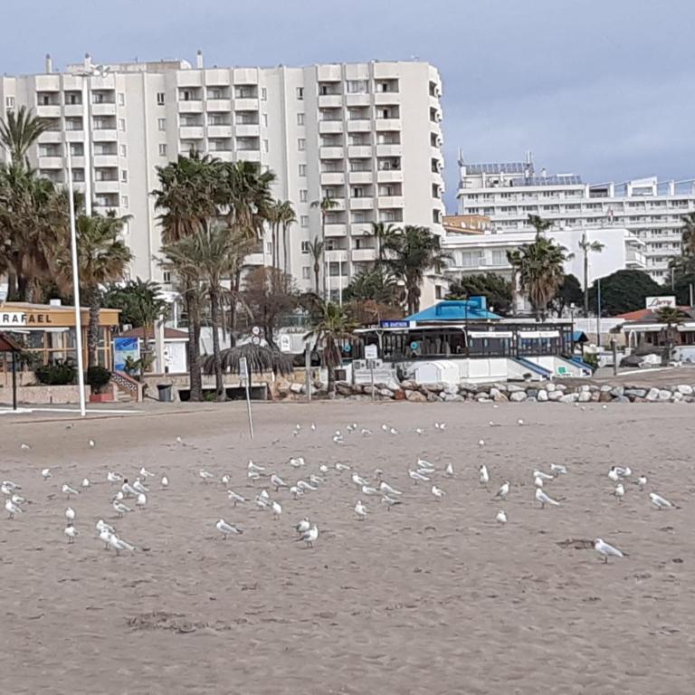 Flamingo Sol Home - Apartamento de 2 dormitorios - 48