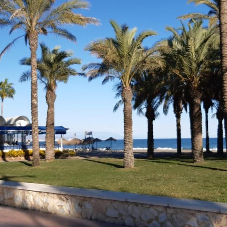 Flamingo Sol Home - Apartamento de 2 dormitorios - 56