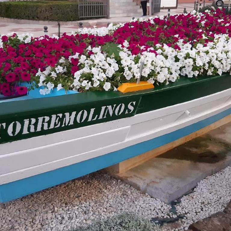 Flamingo Sol Home - Apartamento de 2 dormitorios - 51