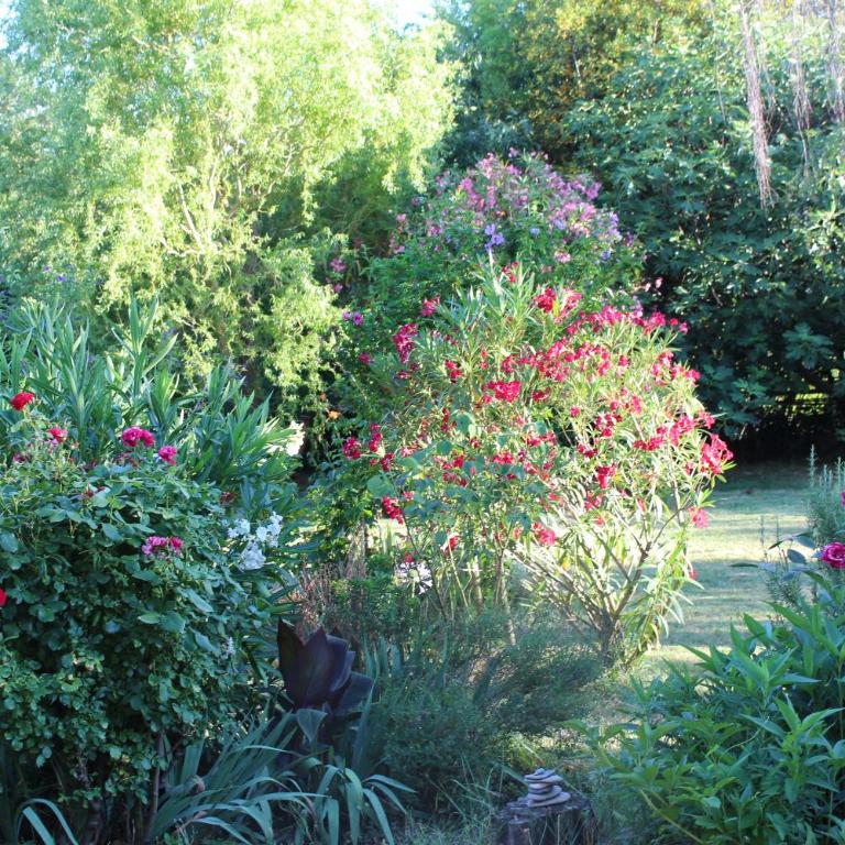 Mas Les Romarins, 10 min d'Uzès, piscine et grand jardin clos, jeux, nid de repos et base pour activités dans le Gard - Villa - Vue sur Jardin - 29
