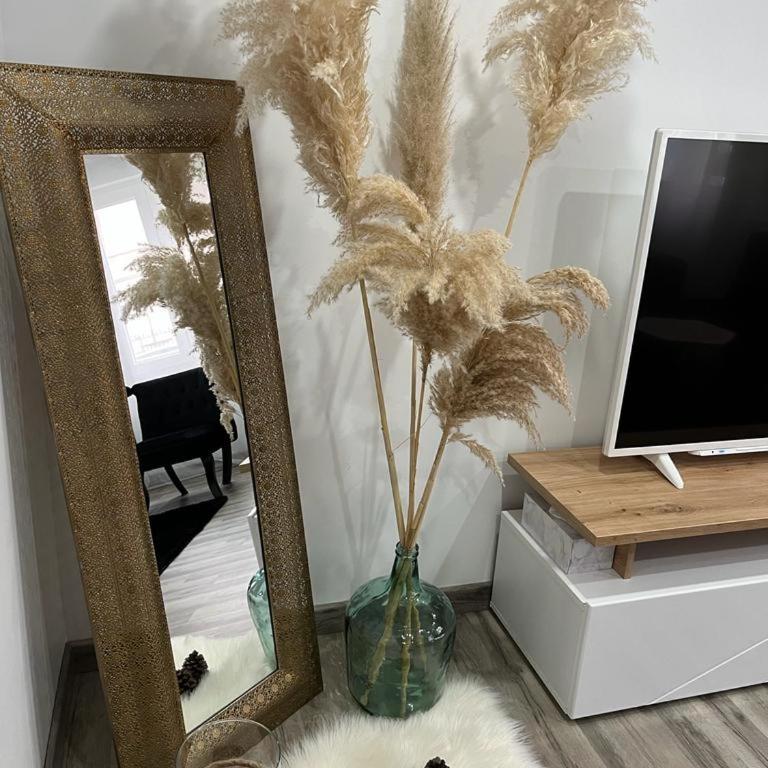 Colmar,appart chaleureux 2 pas centre avec jardin - Apartment mit 1 Schlafzimmer - 2