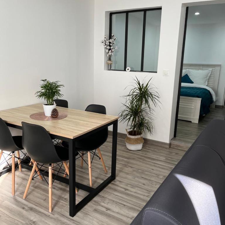 Colmar,appart chaleureux 2 pas centre avec jardin - Apartment mit 1 Schlafzimmer - 3