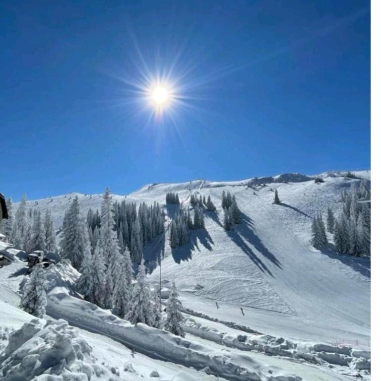 Gorštak Ema - Apartman sa 1 Spavaćom Sobom - 22