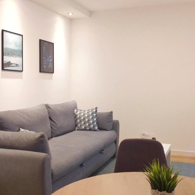 Apartmani Šišarka - Deluks Studio - 5