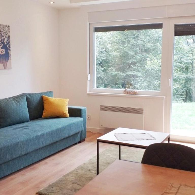 Apartmani Šišarka - Apartman sa 1 Spavaćom Sobom - 2