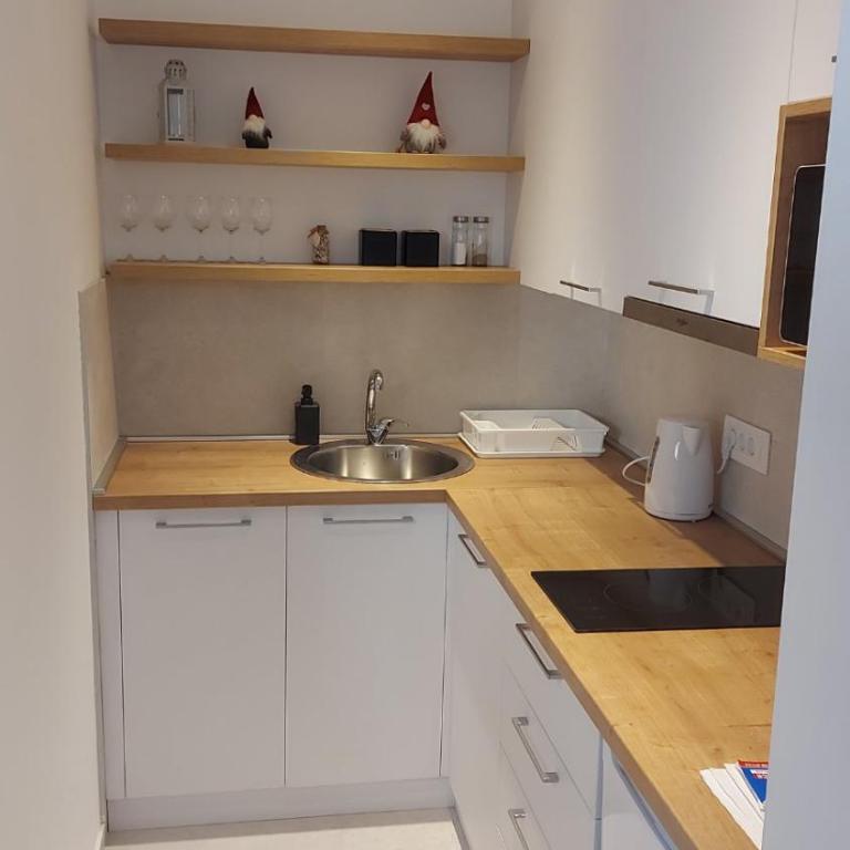 Apartmani Šišarka - Deluks Studio - 3