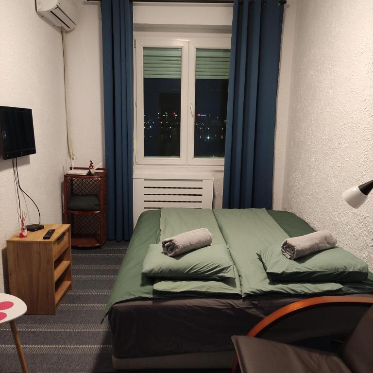 Beogradski sajam san - Belgrade Fair sleep - Apartman sa 1 Spavaćom Sobom - 5