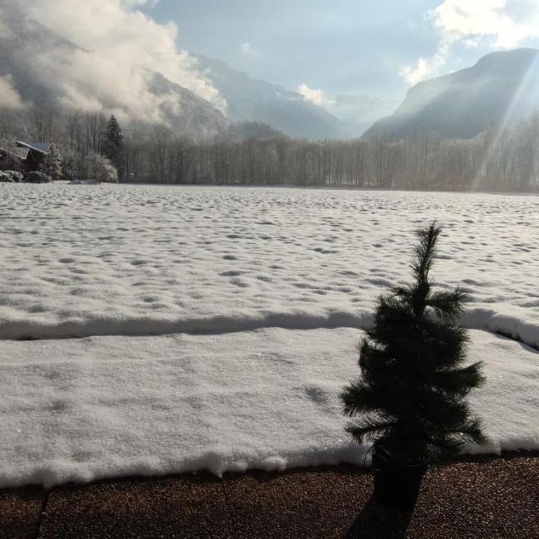 DOMAINE DU GRAND TETRAS SAMOENS - Appartamento con 1 Camera da Letto - 6