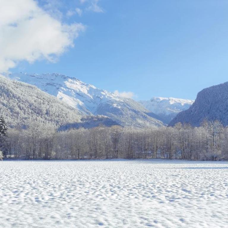 DOMAINE DU GRAND TETRAS SAMOENS - Appartamento con 1 Camera da Letto - 5