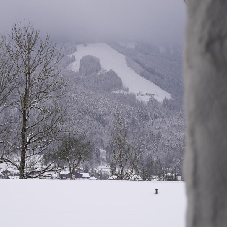 Bergblick 411 am Wolfgangsee - Apartment with Mountain View - 27