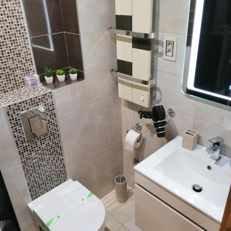 Apartment Mihajlović - Apartman - 29
