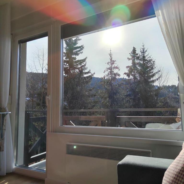 Apartman Dve Skije, Apartmani Šišarka - One-Bedroom Apartment - 10