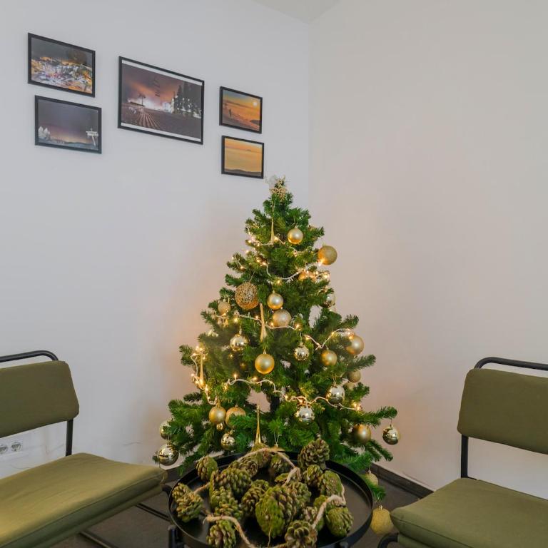 Apartman Dve Skije, Apartmani Šišarka - One-Bedroom Apartment - 21