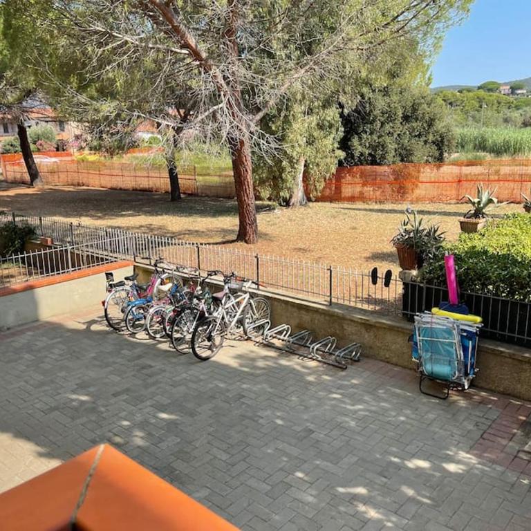 Grazia&Andrea Pratoranieri, Capraia 17, 100m. mare - Appartamento con 2 Camere da Letto - 7