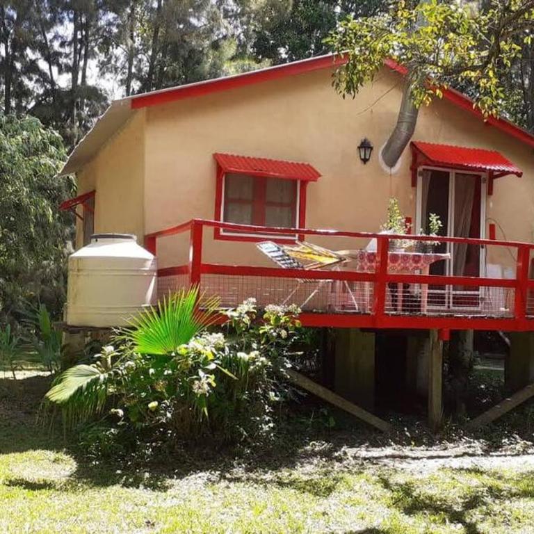 Casa Haiku - Delta Tigre. - Casa de 2 dormitorios - 31