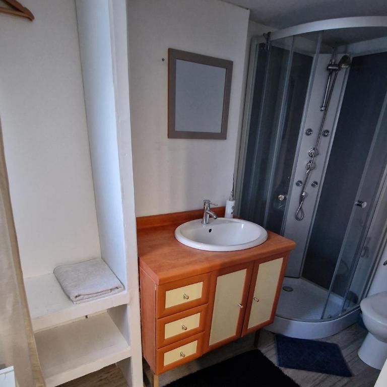 Studio Cerf, quartier marais, terrasse rez de chaussé, jardin accessible, matelas confortable - Studio - 4