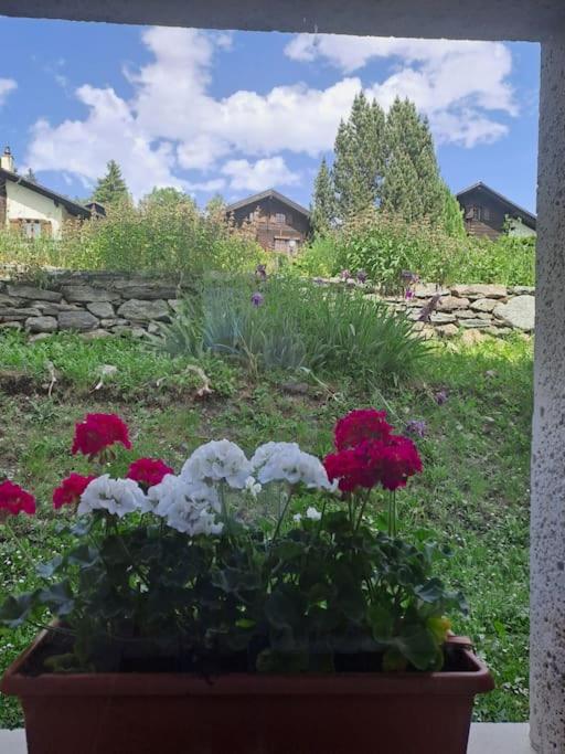 Vacances en tout tranquillité à Vercorin - Apartment mit Blick auf die Berge - 19