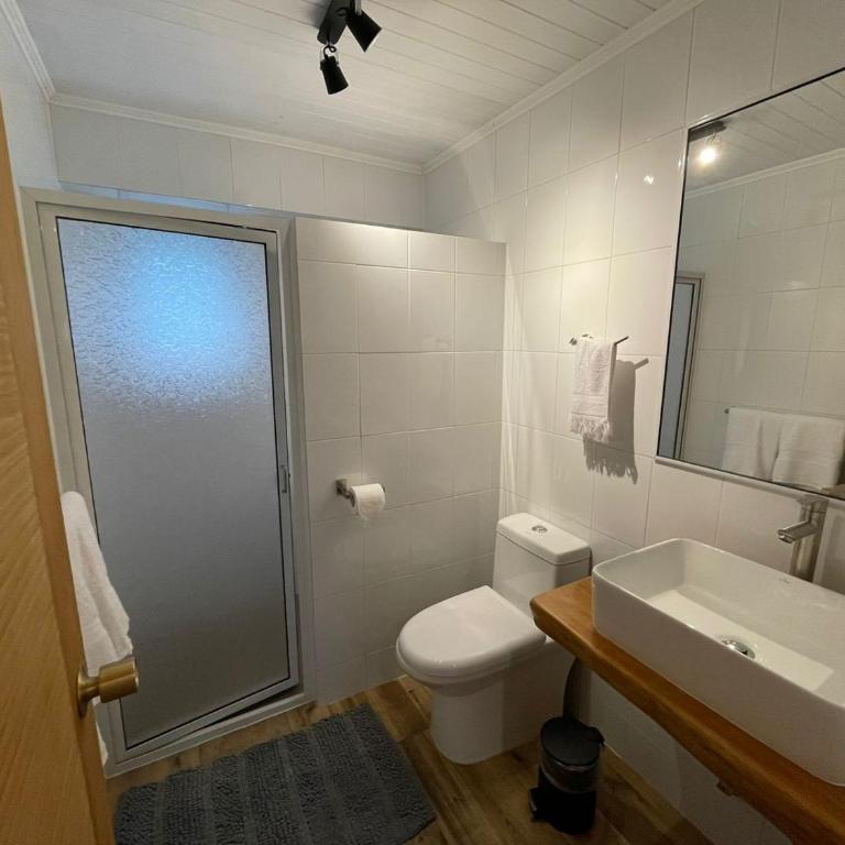 Domos Futronhue - Three-Bedroom House - 19