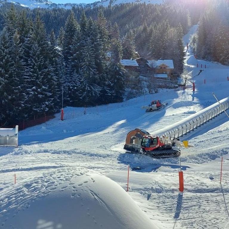 40m2 - Ski aux pieds - La Tania - Parking couvert - Apartment mit 2 Schlafzimmern - 29