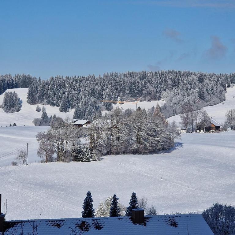 Allgäuer Ausblick - One-Bedroom Apartment - 6