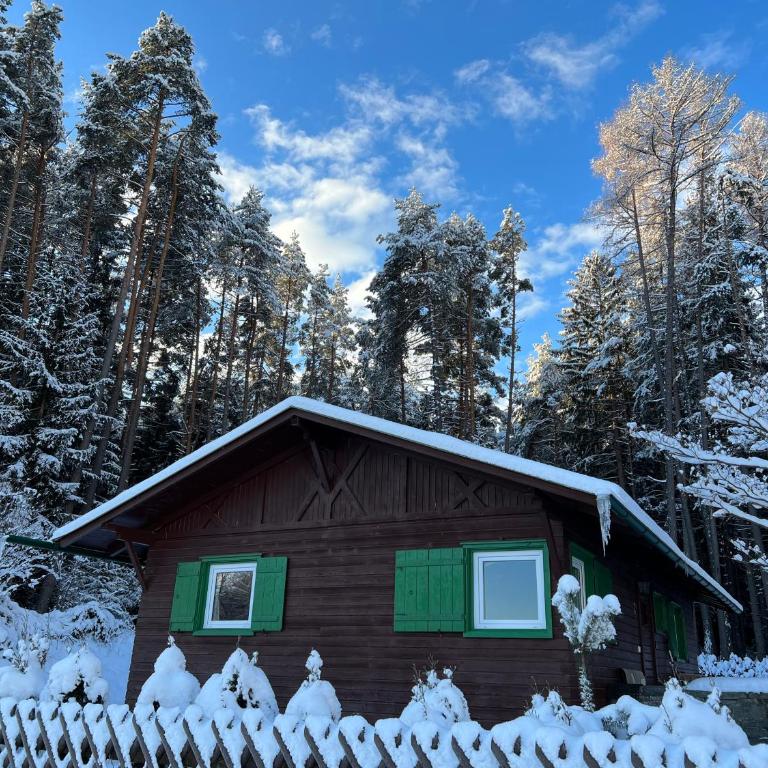 Waldchalet am Eichhof - Two-Bedroom Chalet - 3