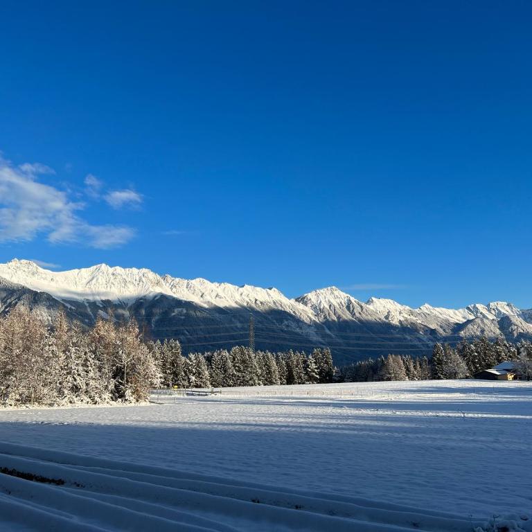 Waldchalet am Eichhof - Two-Bedroom Chalet - 15