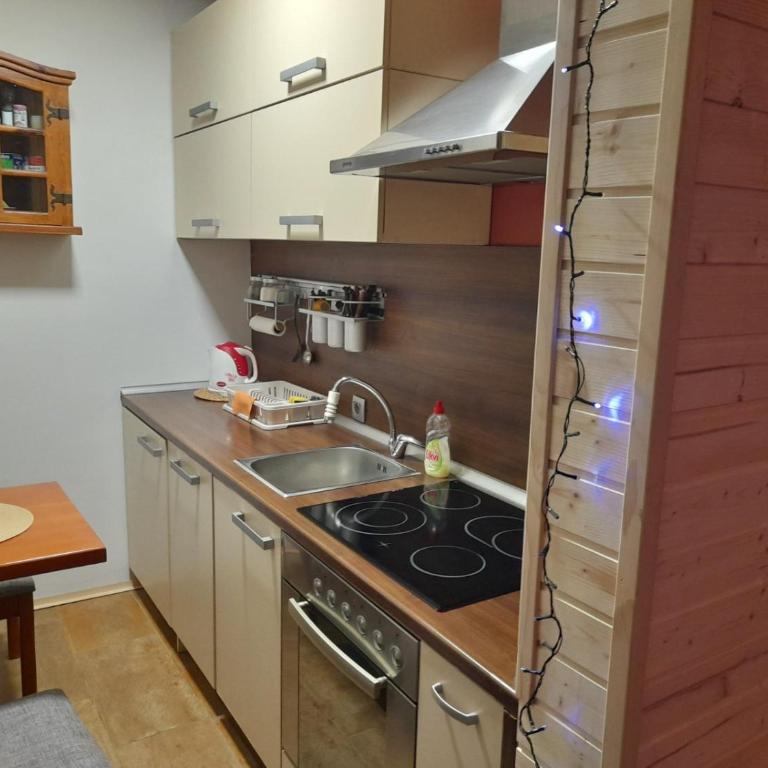 Sibirska Central - Studio - 4