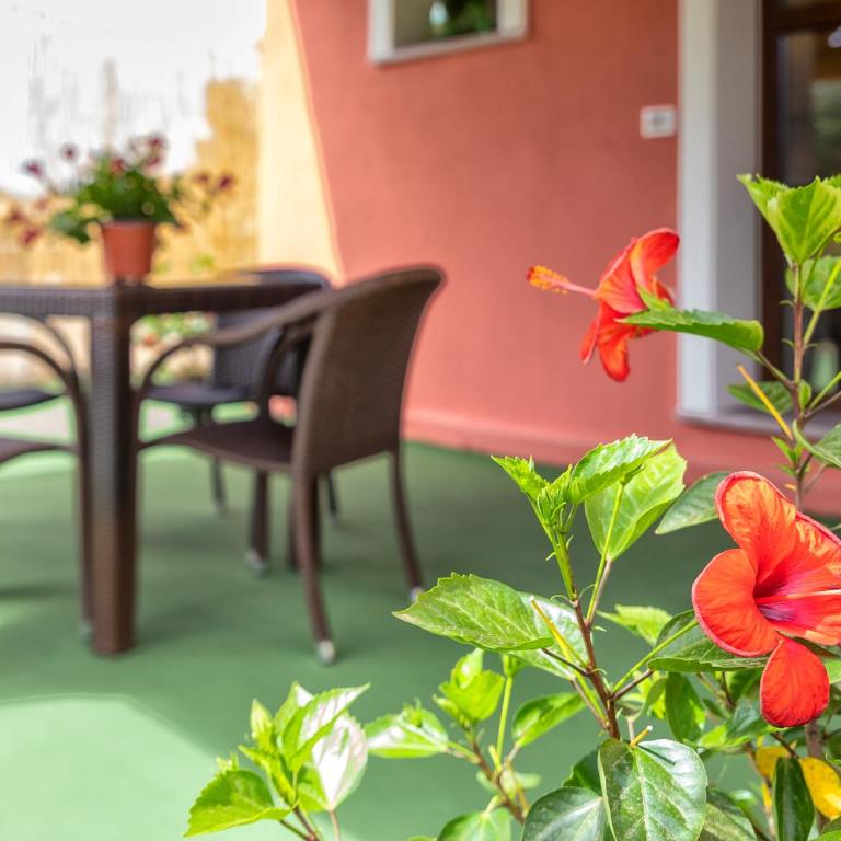 Alghero Resort Country Hotel & Spa - Appartamento con 1 Camera da Letto - 3