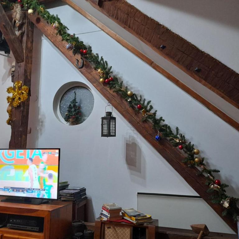 Sibirska Central - Apartman sa 2 Spavaće Sobe - 14
