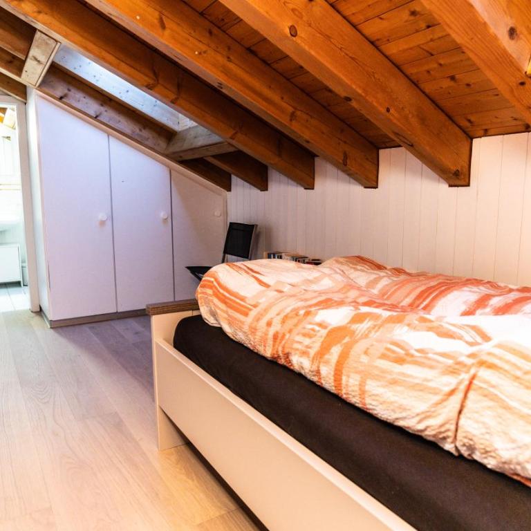 Castle, Goms - Apartment mit 3 Schlafzimmern - 14