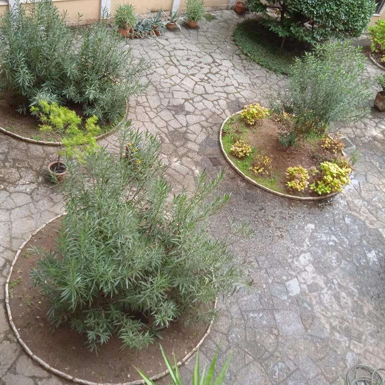 Residenza Locatelli - Appartamento con 1 Camera da Letto - 63