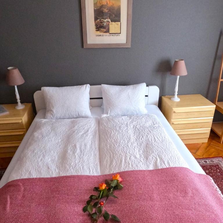 Alpenrose Hotel and Gardens - Standard Doppel-/Zweibettzimmer mit Balkon - 17
