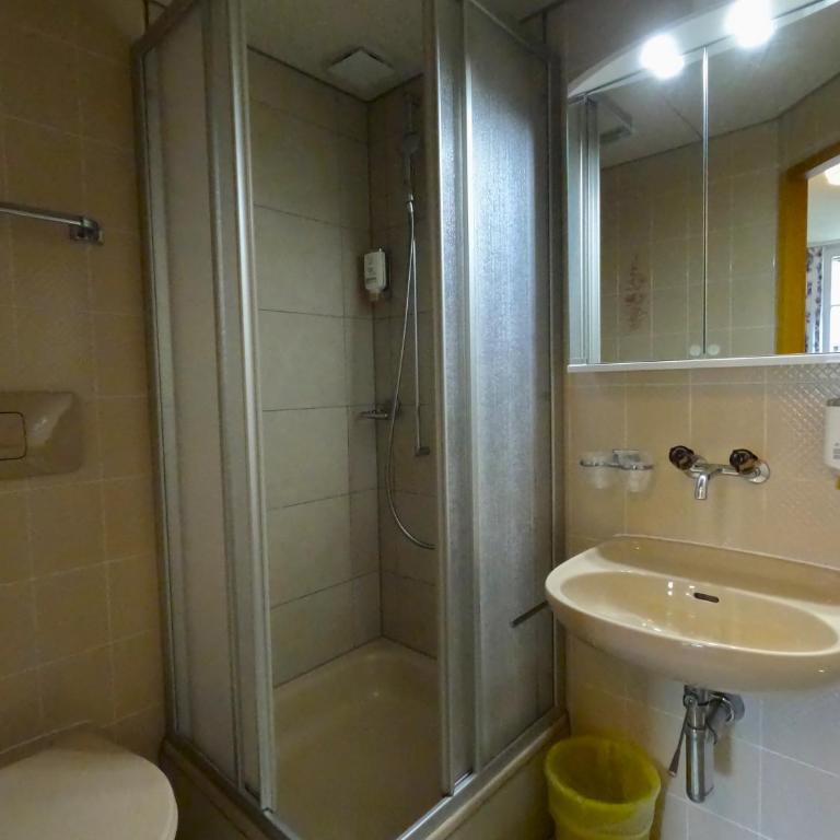 Alpenrose Hotel and Gardens - Standard Doppel-/Zweibettzimmer mit Balkon - 39