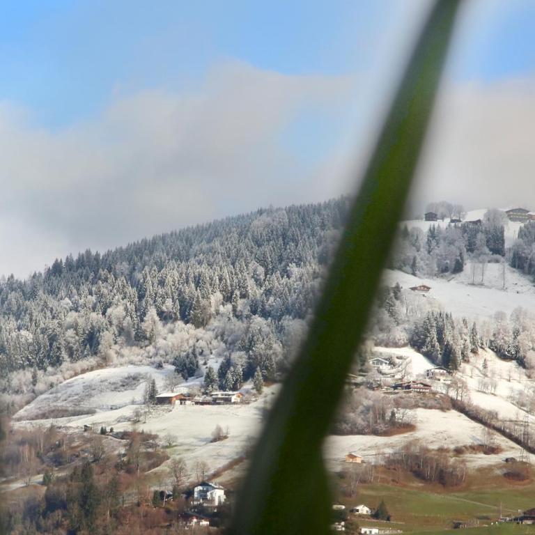 Alm Appartements ZellamSee - Apartment mit 2 Schlafzimmern und Balkon - Alm 3 - 25
