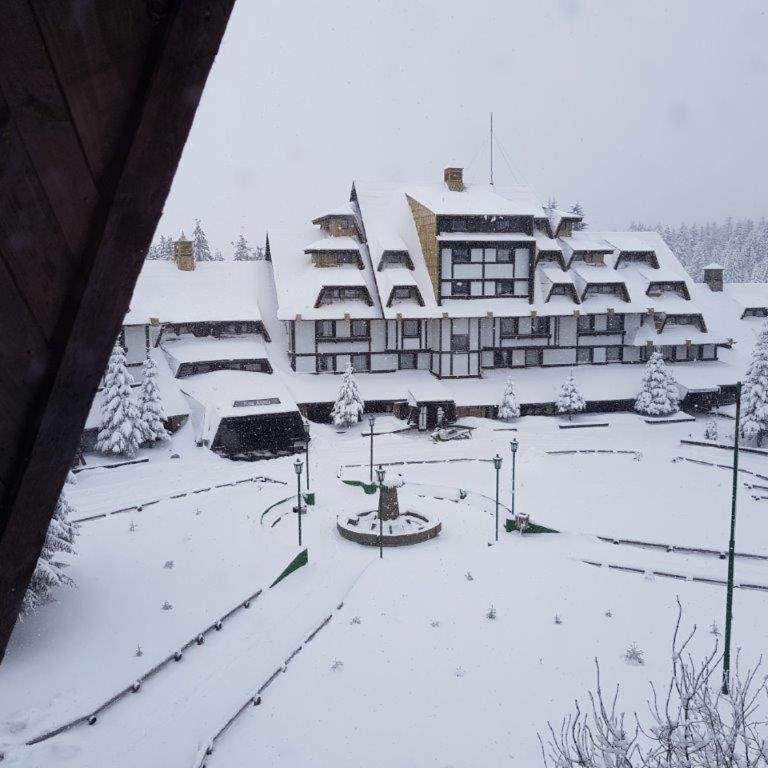 Snow White apartments - Two-Bedroom Apartment - 4