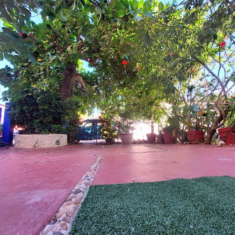 Exclusive Villa Pichi - Maison 2 Chambres - 3
