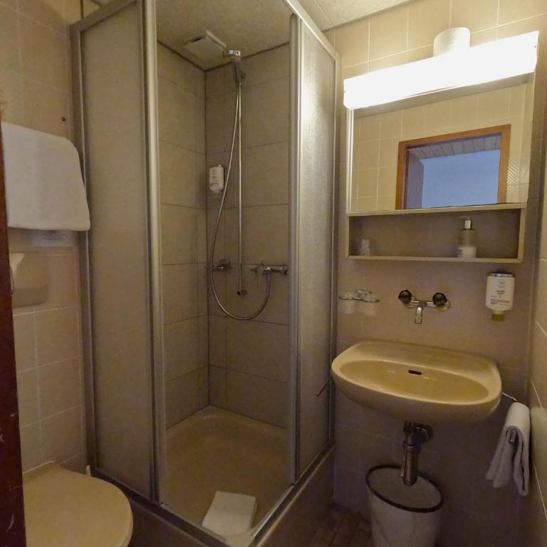 Alpenrose Hotel and Gardens - Standard Doppel-/Zweibettzimmer mit Balkon - 42
