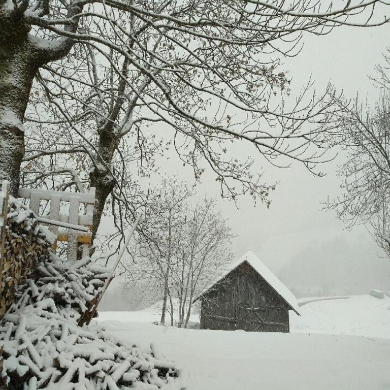 Chalet Lucie LE CHEVAL NOIR - Apartment mit 2 Schlafzimmern - 45