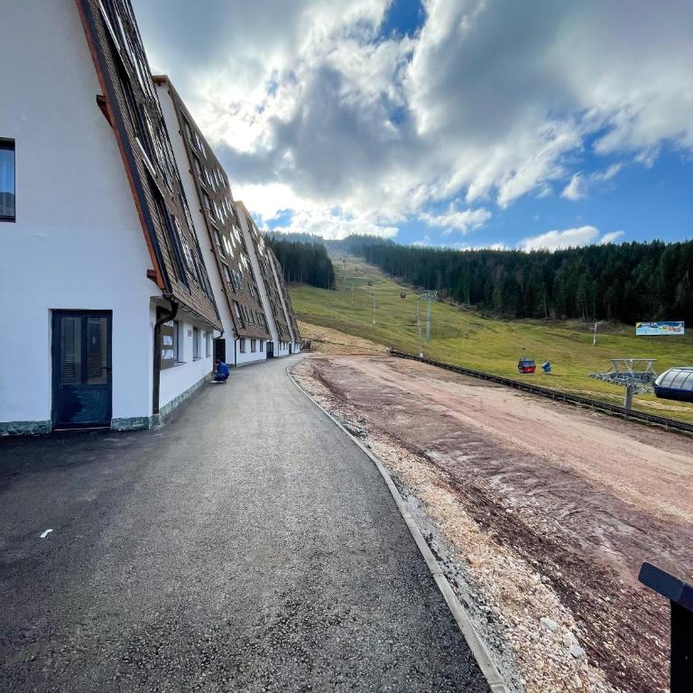 Apartman Maksim Ravna Planina - One-Bedroom Apartment - 2