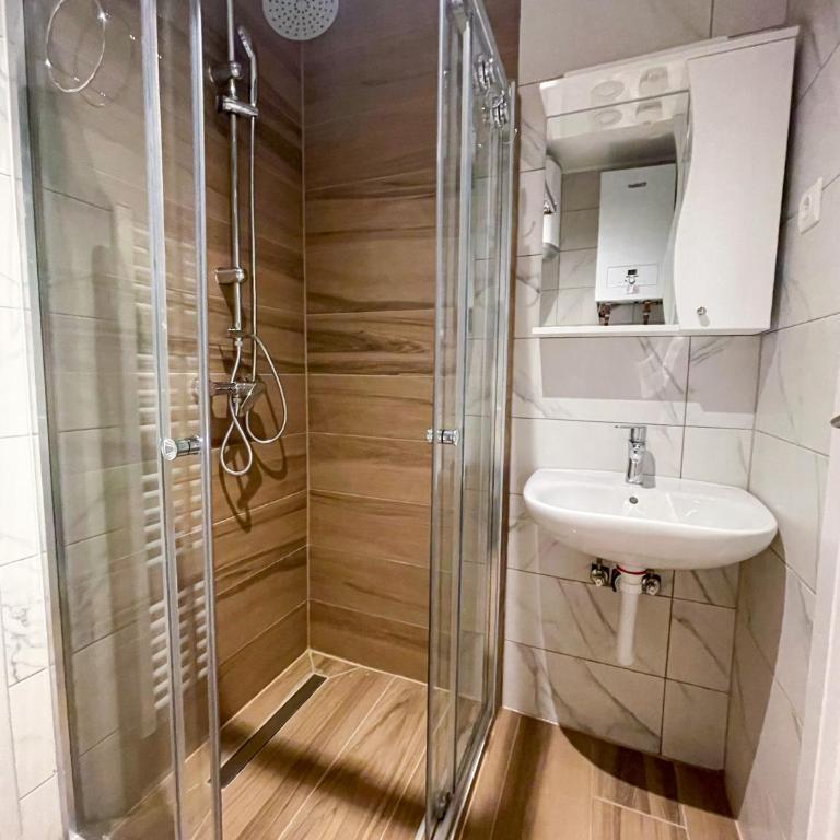 Apartman Maksim Ravna Planina - One-Bedroom Apartment - 7