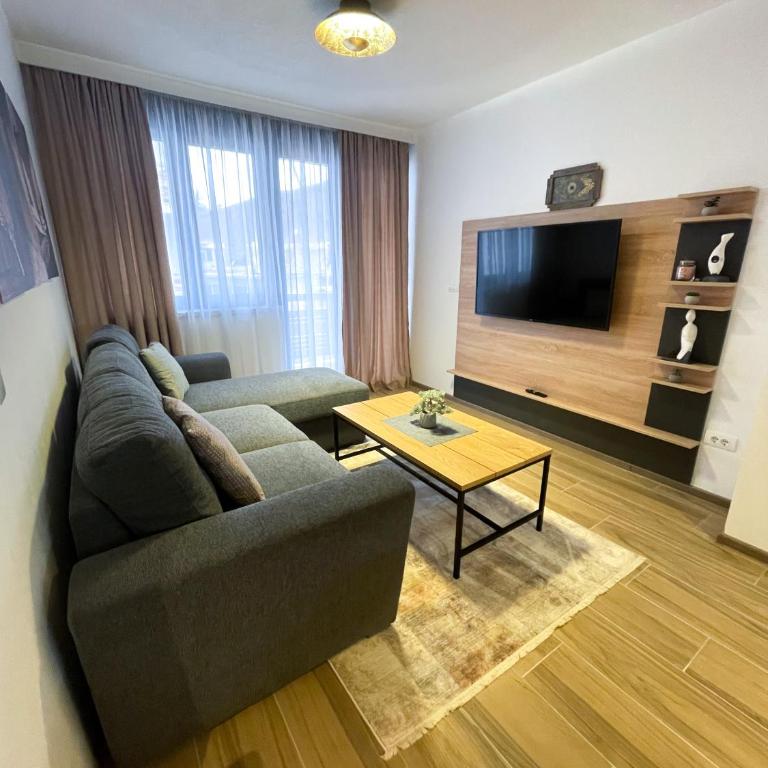 Apartman Maksim Ravna Planina - One-Bedroom Apartment - 8