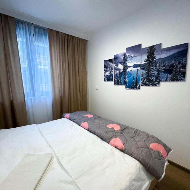 Apartman Maksim Ravna Planina - One-Bedroom Apartment - 9