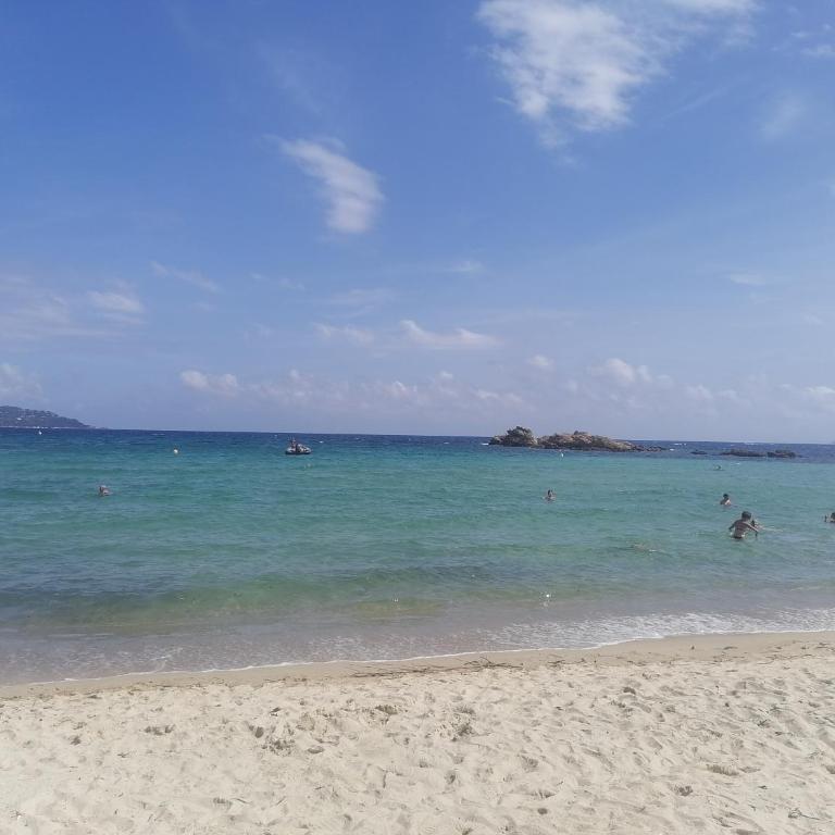 Les Iles d' Or Appartement - Apartamento de 1 dormitorio - 55