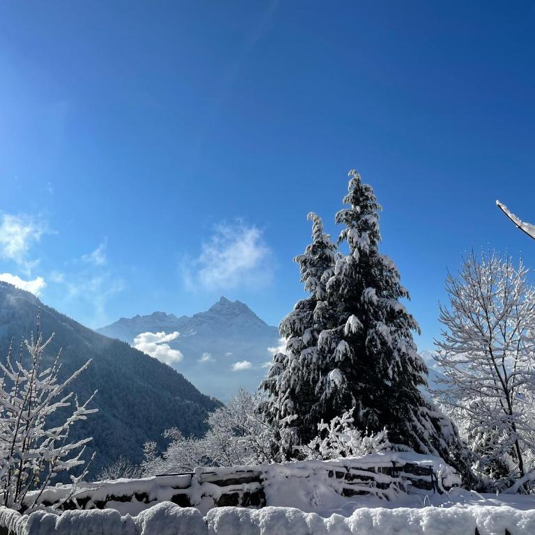 Chalet Rayon de Soleil Gryon Villars - Deluxe Studio - 28